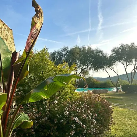 Pedra Smeralda Apartment